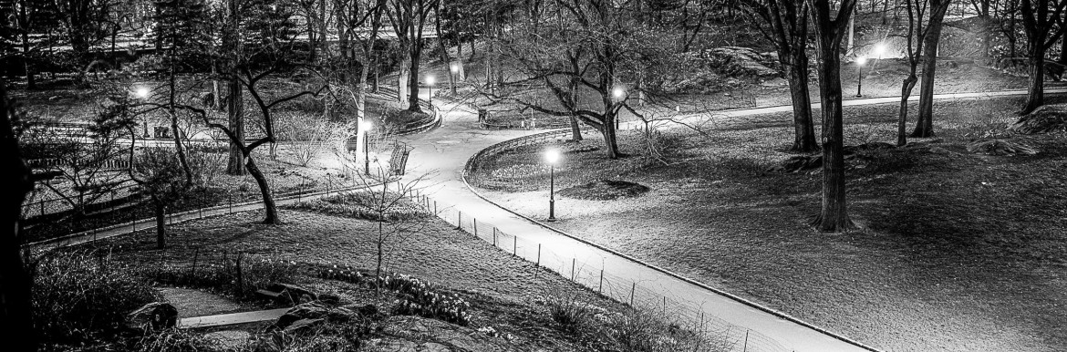 Crossroads, Central Park, NYC, 2015