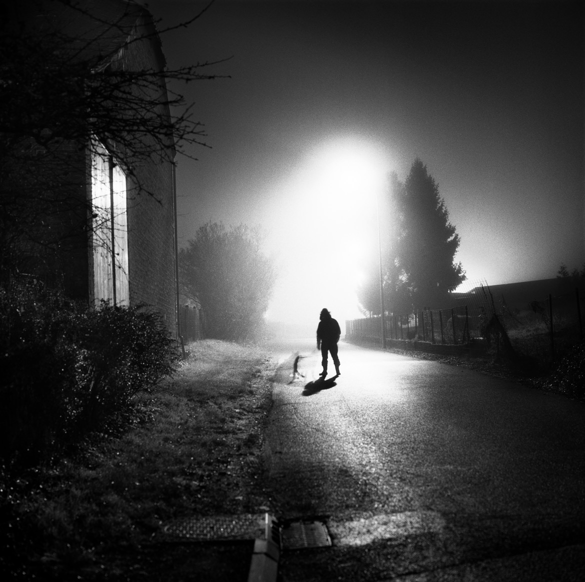 Walking at night, I stumble on odd apparitions